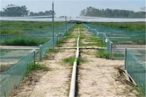 商务部:上周全国煤炭价格小幅波动_开云电竞官网(图2) 开云电竞官网