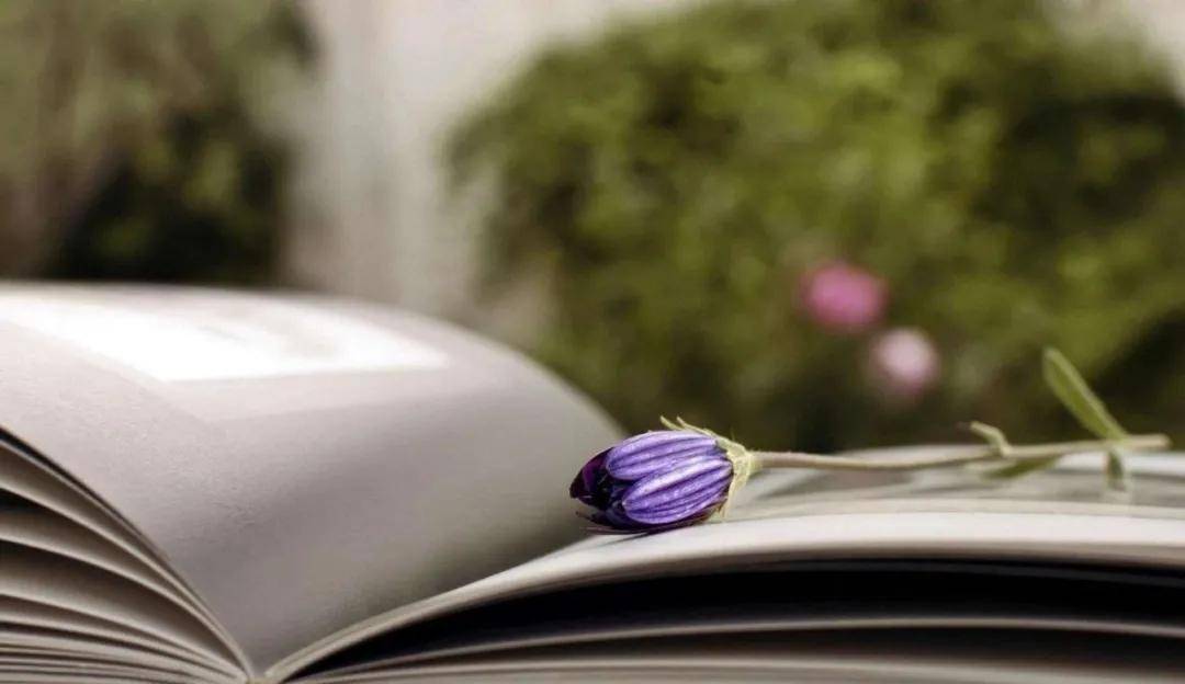 开云电竞官方网站-
学历越高素质越好是真的吗？(图4)