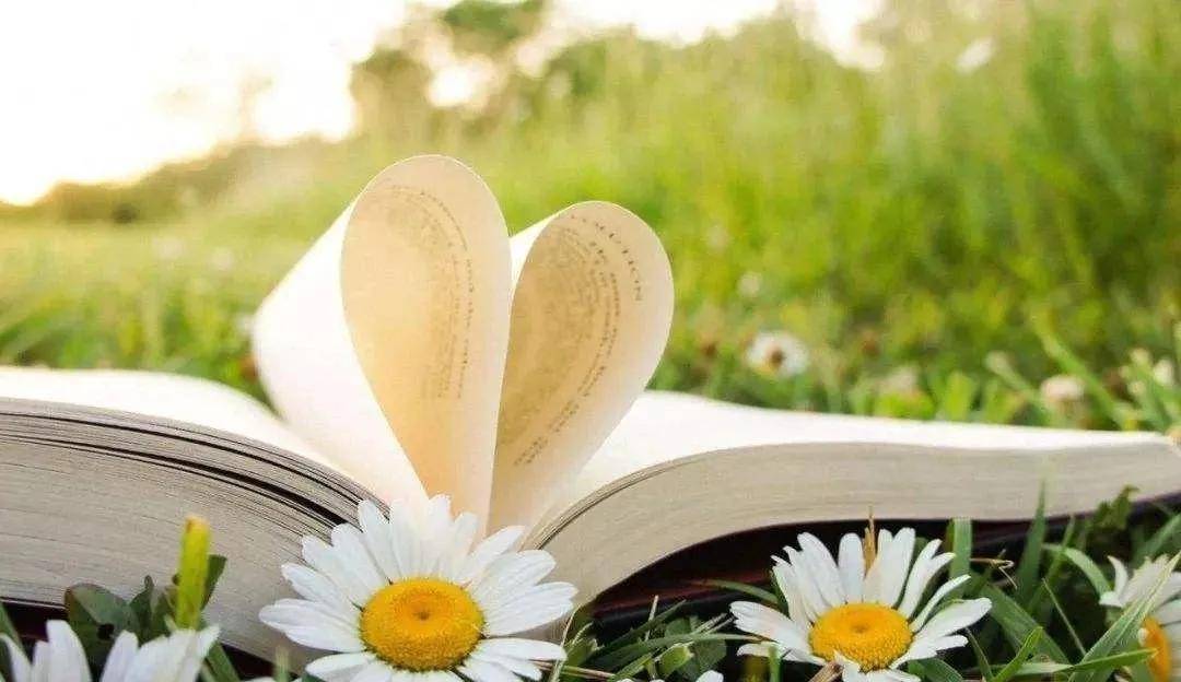 开云电竞官方网站-
学历越高素质越好是真的吗？(图7)