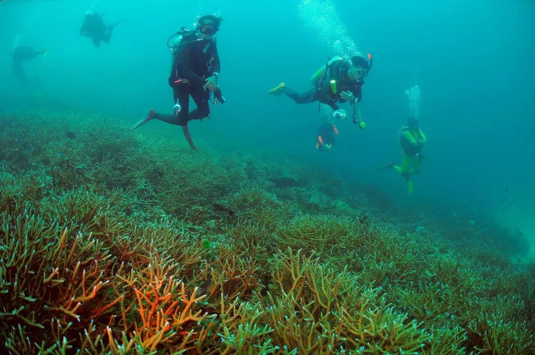 开云电竞官方网站