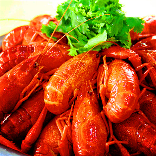 开云电竞官网_在4G元年,看运营商的未来:螺蛳壳里做道场?(图1) 开云电竞