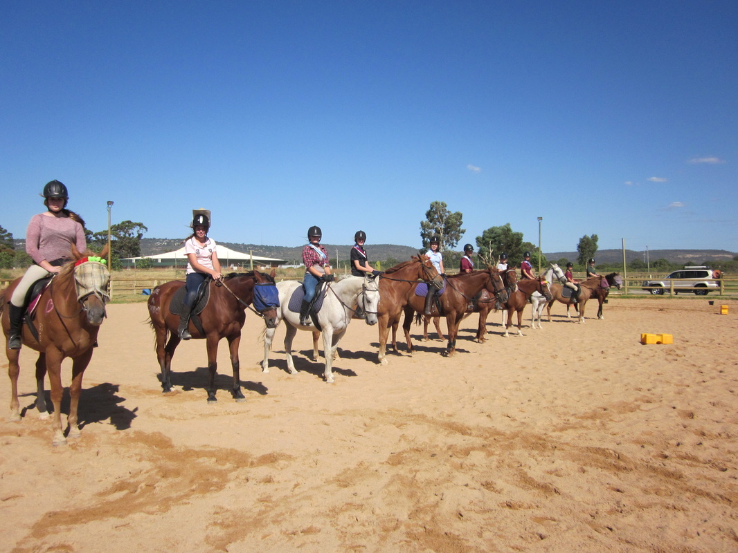 开云电竞_11月份中国出口褐煤增长187%出口炼焦煤下降65.8%(图3) 开云电竞官网