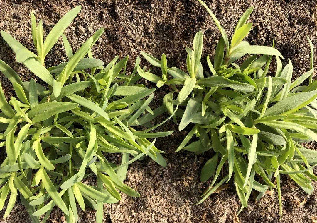 开云电竞-
2019.6.24梅州招聘销售、设计、导购、文案、文员、人事、会计等(图2) 开云电竞官方网站