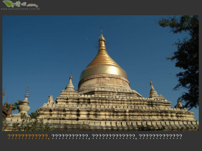 开云电竞官方网站