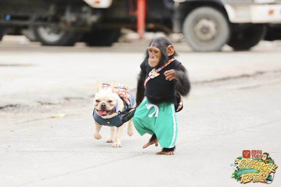 海南变电容量最大变电站在三亚投运:开云电竞(图1) 开云电竞官方网站