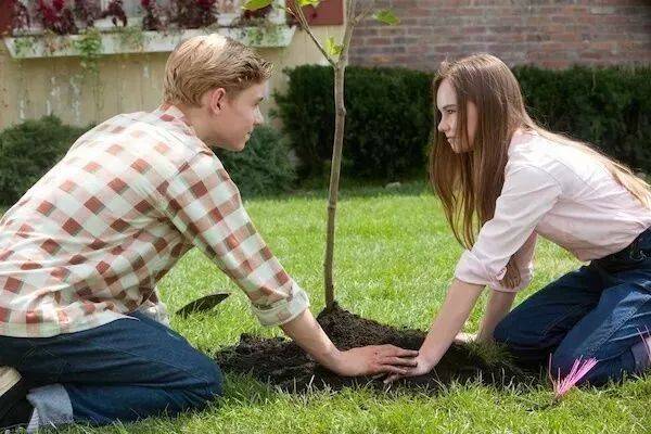 开云电竞官方网站