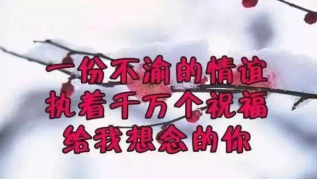 开云电竞官方网站-「青之驱魔师」京都不净王篇1月放送!神木出云等角色PV曝光!(图2) 开云电竞官方网站