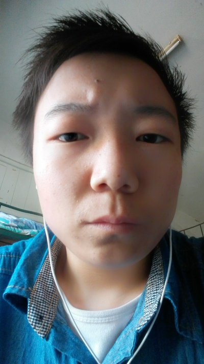 新瓦特智控科技王丹秋:燃煤电厂燃烧智能测控技术及应用_开云电竞(图2) 开云电竞