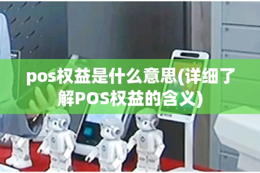 pos权益是什么意思(详细了解POS权益的含义)