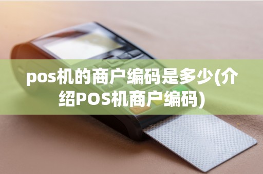 pos机的商户编码是多少(介绍POS机商户编码)