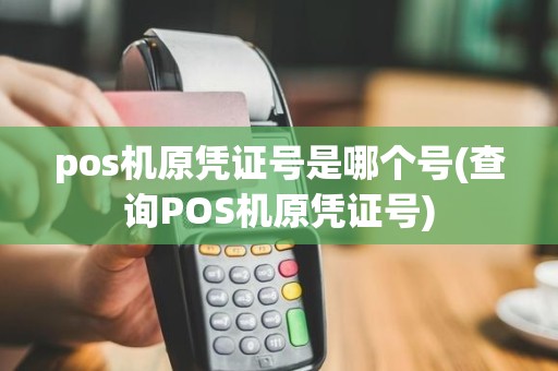 pos机原凭证号是哪个号(查询POS机原凭证号)