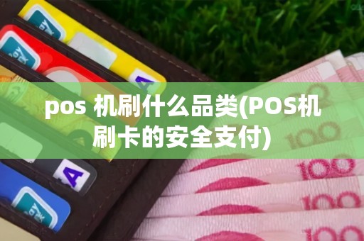 pos 机刷什么品类(POS机刷卡的安全支付)