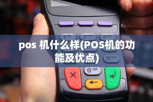 pos 机什么样(POS机的功能及优点)