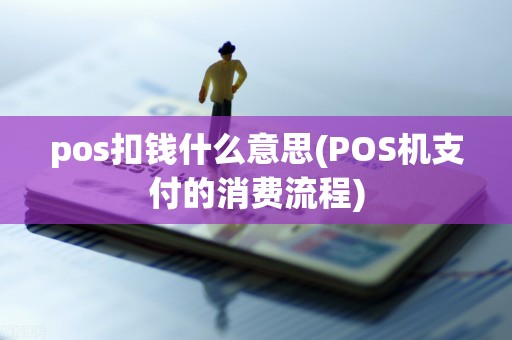 pos扣钱什么意思(POS机支付的消费流程)