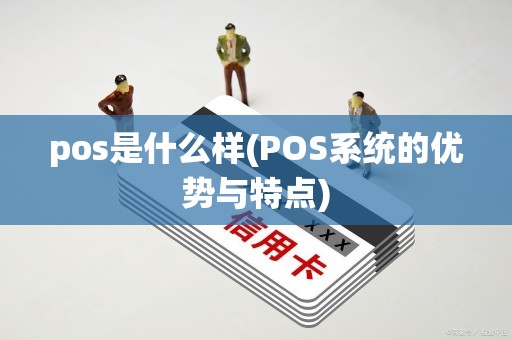 pos是什么样(POS系统的优势与特点)