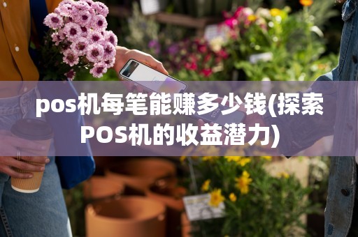 pos机每笔能赚多少钱(探索POS机的收益潜力)