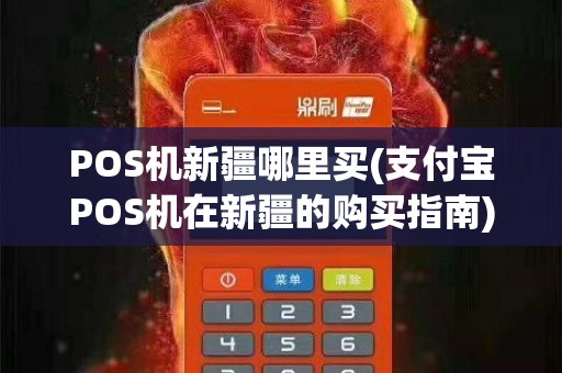 POS机新疆哪里买(支付宝POS机在新疆的购买指南)