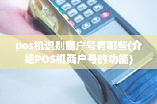 pos机识别商户号有哪些(介绍POS机商户号的功能)