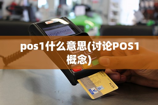 pos1什么意思(讨论POS1概念)