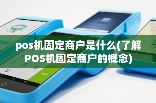 pos机固定商户是什么(了解POS机固定商户的概念)