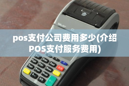 pos支付公司费用多少(介绍POS支付服务费用)