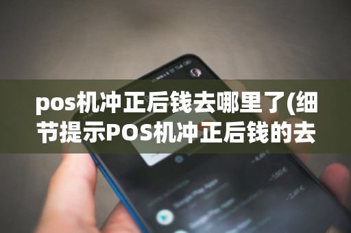 pos机冲正后钱去哪里了(细节提示POS机冲正后钱的去向)