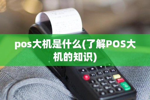 pos大机是什么(了解POS大机的知识)