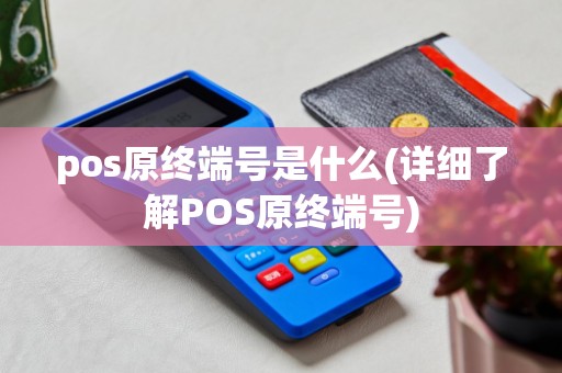 pos原终端号是什么(详细了解POS原终端号)