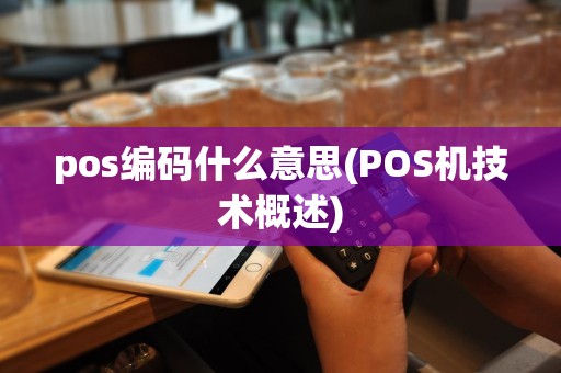 pos编码什么意思(POS机技术概述)