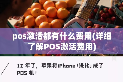 pos激活都有什么费用(详细了解POS激活费用)