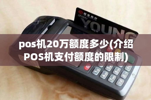 pos机20万额度多少(介绍POS机支付额度的限制)