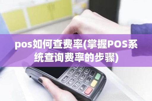 pos如何查费率(掌握POS系统查询费率的步骤)