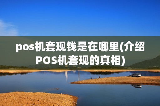 pos机套现钱是在哪里(介绍POS机套现的真相)