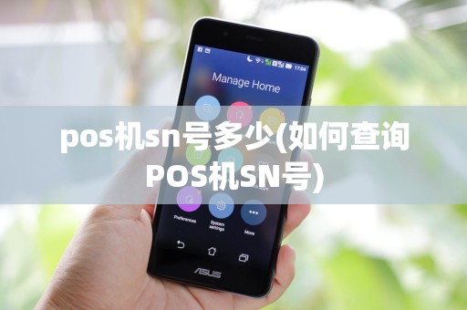 pos机sn号多少(如何查询POS机SN号)