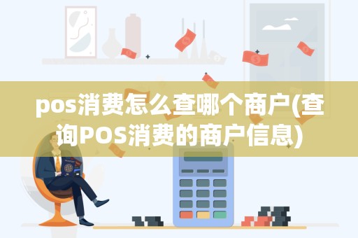 pos消费怎么查哪个商户(查询POS消费的商户信息)