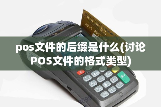 pos文件的后缀是什么(讨论POS文件的格式类型)