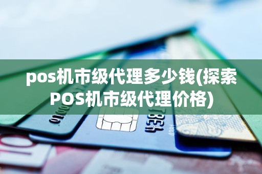 pos机市级代理多少钱(探索POS机市级代理价格)