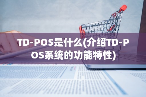 TD-POS是什么(介绍TD-POS系统的功能特性)