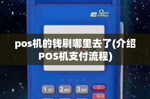 pos机的钱刷哪里去了(介绍POS机支付流程)