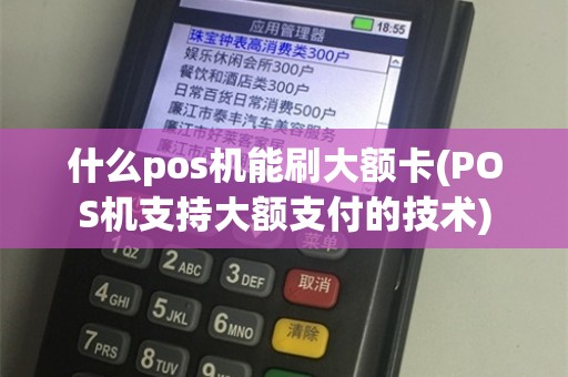 什么pos机能刷大额卡(POS机支持大额支付的技术)